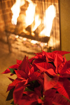 poinsettia by a fireplace 