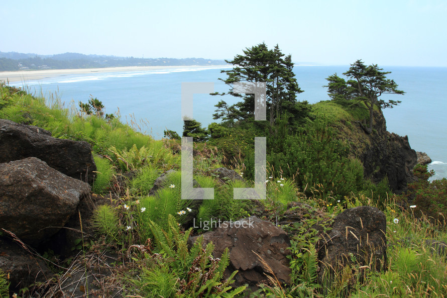 Hillside of rocks and trees overlooking ocean, mountains and blue sky.