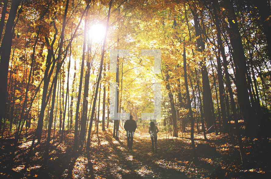 a couple walking through a fall forest 