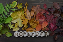 fall leaves border and November 