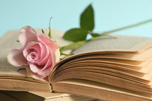 pink rose on pages of an open book 