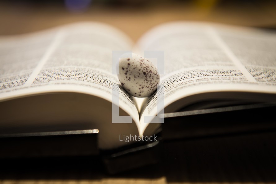Egg on the pages of a Bible 