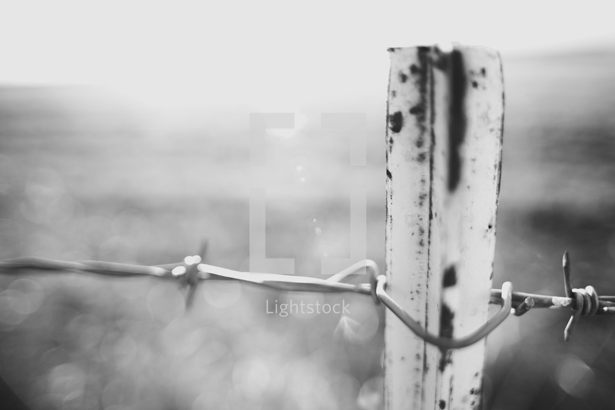A barbed wire fence.