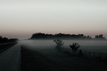 Fog om a field at daybreak.
