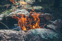 flame in a camp fire 
