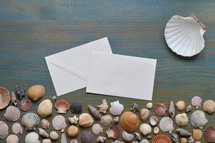 greetings from the summer vacation:
variety of seashells on cyan wooden plank with a blank letter
