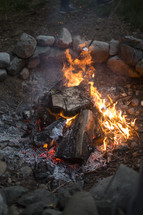 A campfire in a fire pit.