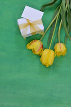 yellow tulips on a green background and gift box 