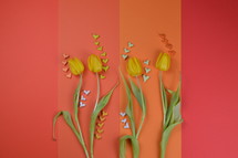 tulip flowers on red and orange with hearts 