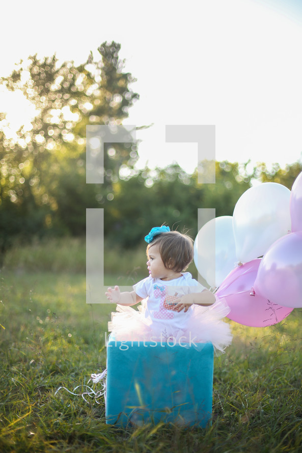 Toddler girl in a tutu sitting on a box with balloons in a field of grass outside.