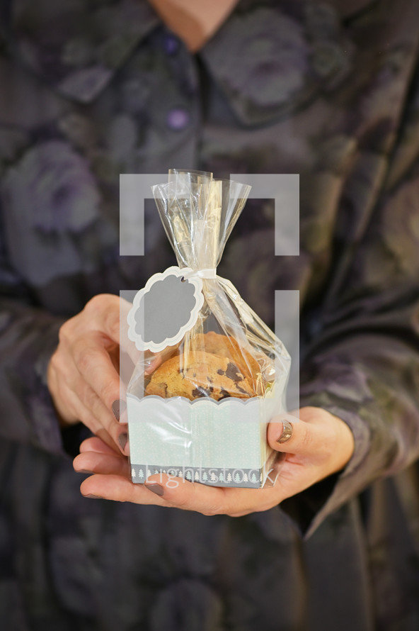 Woman Holding Chocolate Homemade Pastry Biscuits in Festive Box