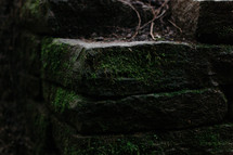 moss on a stone step