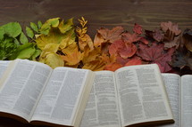 fall leaves and opened Bibles 