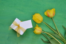 yellow tulips on a green background and gift box 