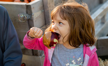 child eating a caramel apple 