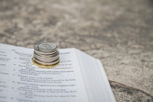 Canadian money on a Bible with a rock background