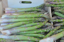 asparagus 