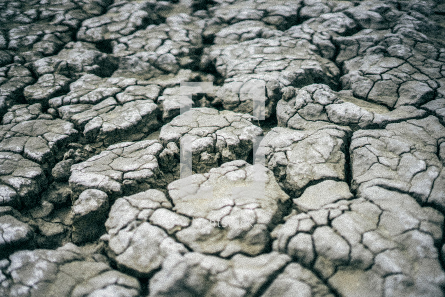 parched dry earth 