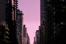 city buildings against a purple sky 