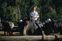 cowgirls riding horses 