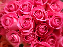 bouquet of roses, 
bouquet, flowers, rose, roses, pink, bloom, blossom, bright, spring, summer, present, gift, love, friendship, creation, close, Mother's Day, flower, mom, mother, mummy, mum, mommy, green, beauty, beautiful, nice, lovely, fine, pleasant, fair, pretty, plant, sun, sunshine, flourish, color, colour, romance, romantic, romantically