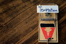 word temptation on a mousetrap 