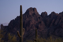 Jagged desert mountains with Saguaro cactus at dusk