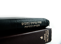 Stack of Hebrew and English Bible
