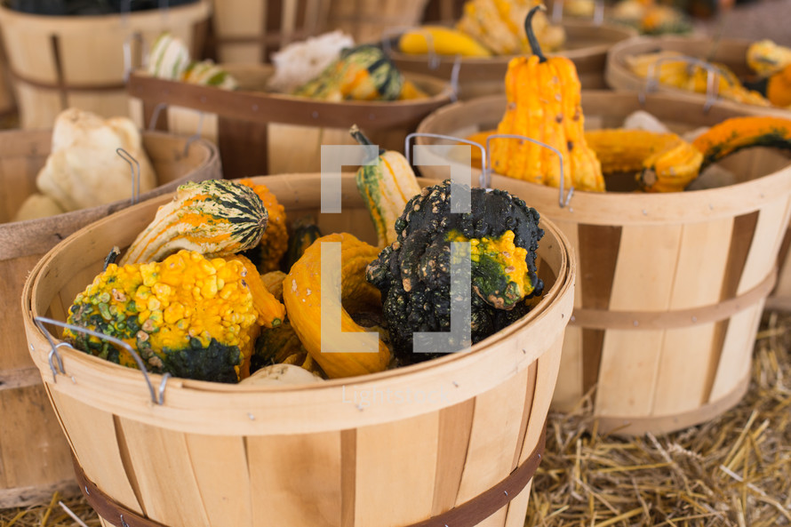 baskets of gourds 