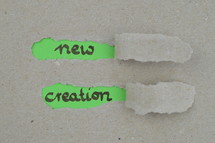 ripped open paper with the words NEW CREATION