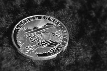 Noah's Ark on the Armenian silver coin.