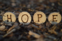 word hope on cut logs 