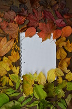 fall leaf border and notebook - 
colorful autumn leaves in color gradient on brown wood with a blank spiral bound notebook in the middle