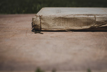 worn Bible 