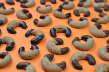 home made nougat crescents cookies with chocolate at the edges on orange background 