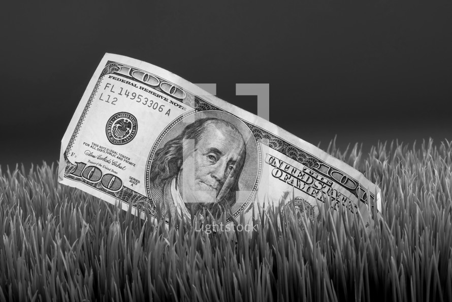 a one hundred dollar bill in grass 