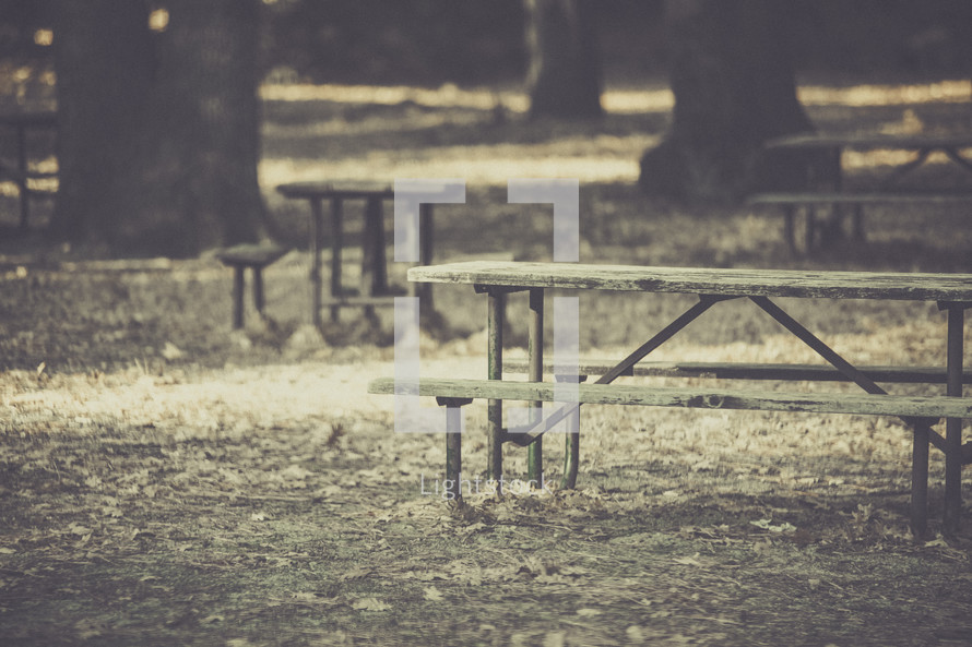 picnic benches in a park 