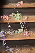 confetti and ribbons on wood steps 
