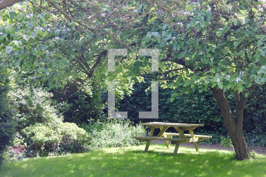 picnic table on green grass