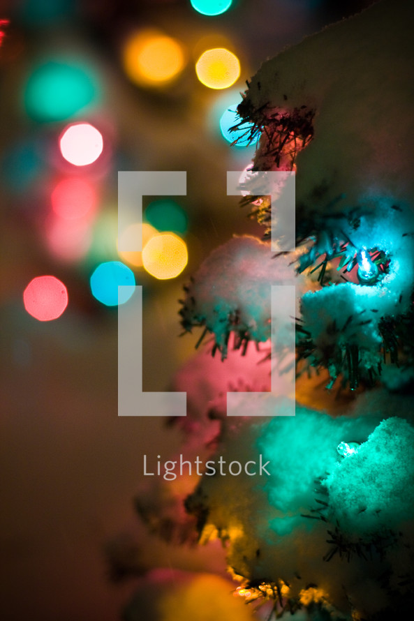 bokeh Christmas lights and a Christmas tree covered in snow