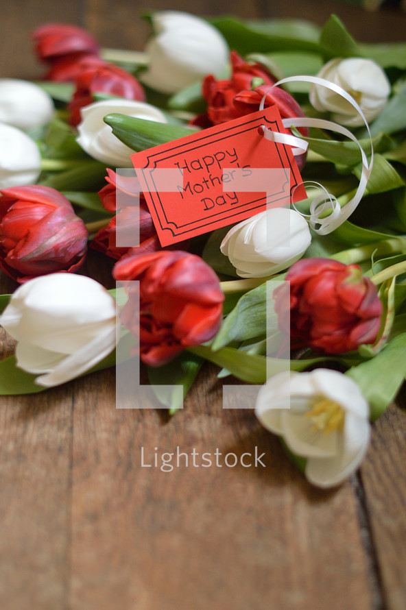 Happy Mother's Day card with a bouquet of red and white tulips for Mothers Day 
