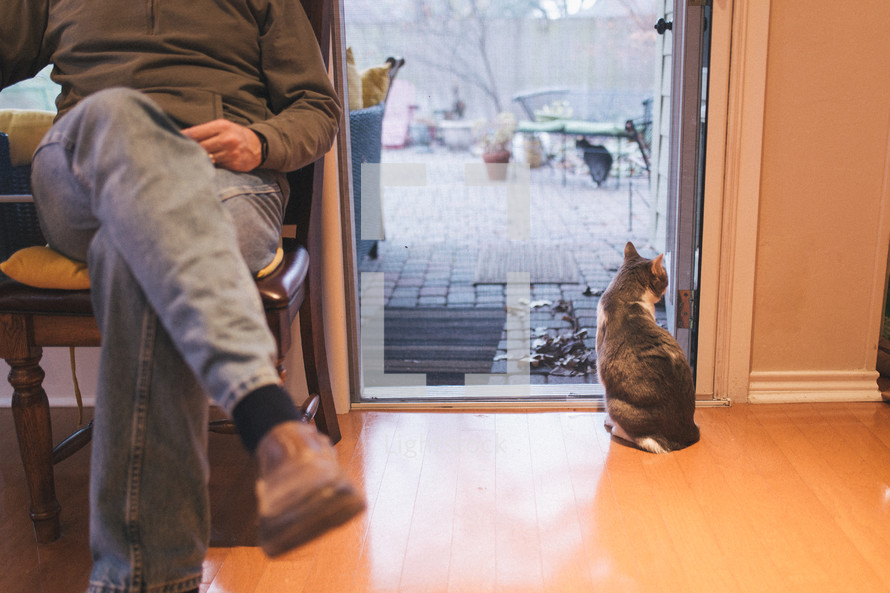 a cat waiting by a door 