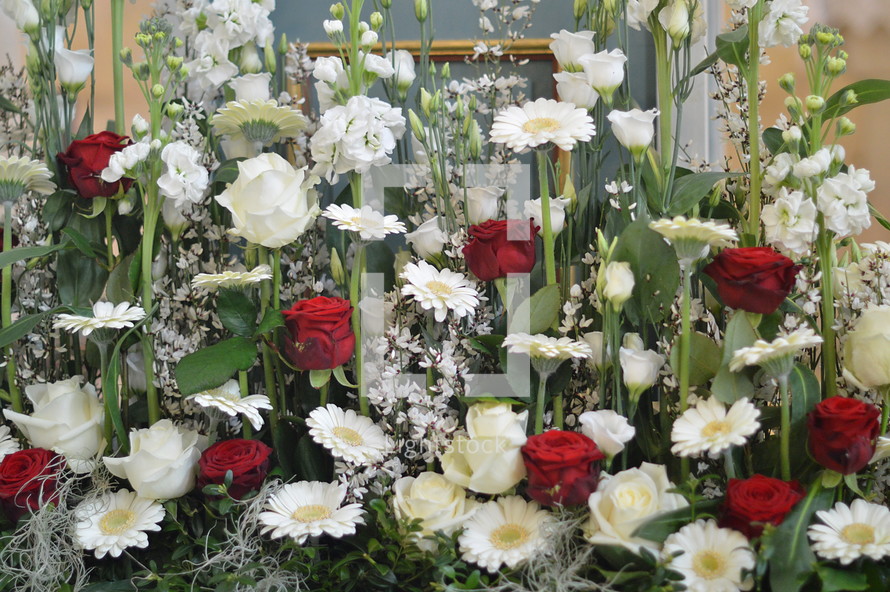 red and white flower arrangement 