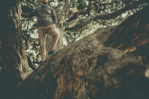 a man with a beard standing on a tree branch outdoors thinking 