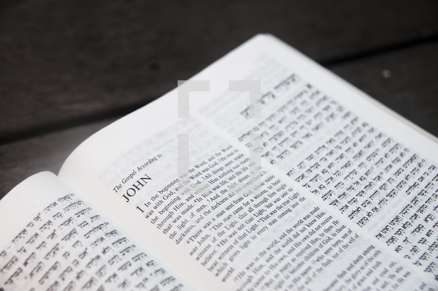 The Gospel of John in Hebrew and English