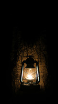 lantern and tree in darkness 