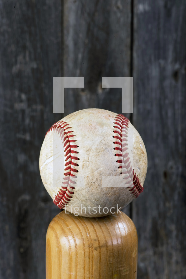 baseball on a baseball bat 