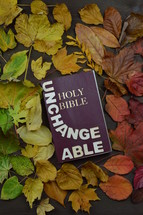 fall leaves border around a Bible - 
colorful changeable autumn leaves in color gradient on brown wood with a bible in the middle and the word UNCHANGEABLE on it