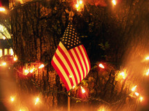 An American flag stands surrounded by Christmas lights in front of a tree in Gainesville, Florida during the Christmas holiday celebration. 
