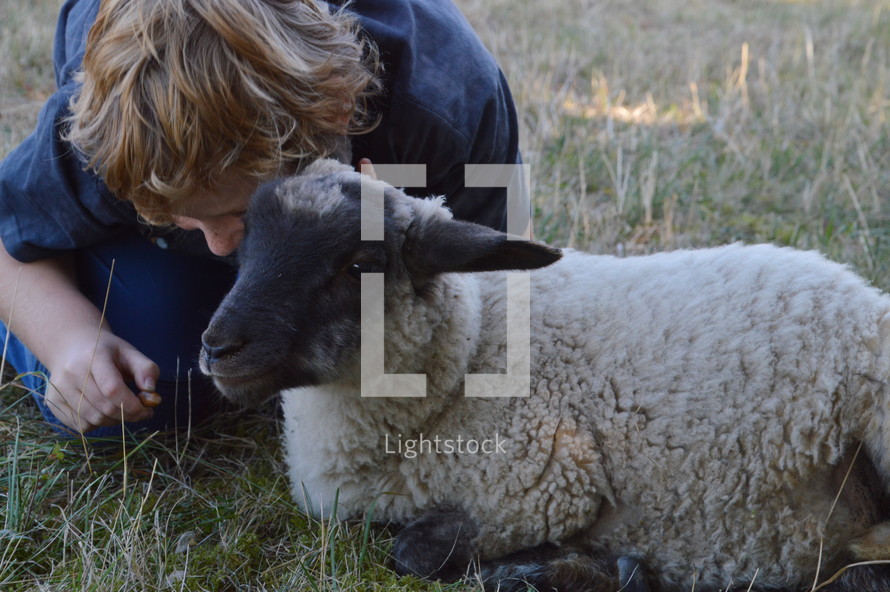a boy petting a lamb 